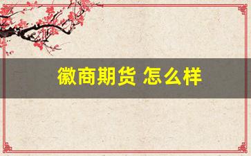 徽商期货 怎么样(徽商期货怎么样才能开通特定品种账户)_https://www.wanyuyiyao.com_上交所_第1张